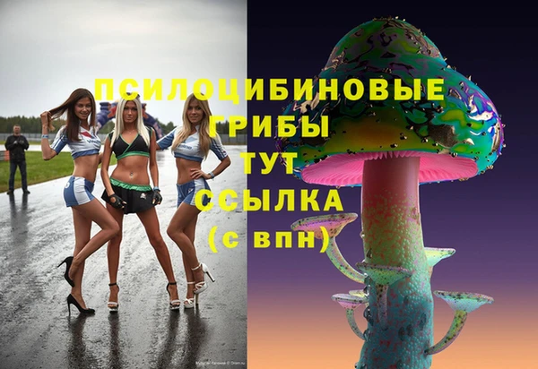 хмурый Белоозёрский