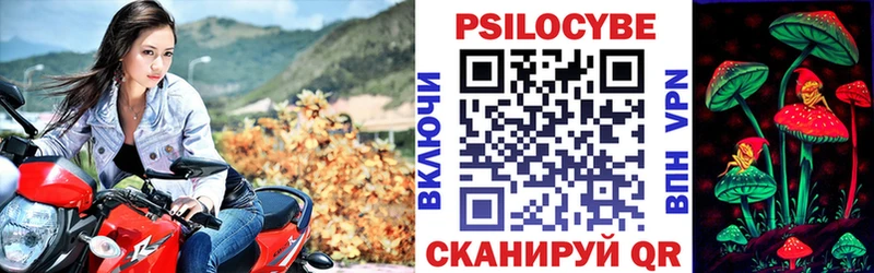 Псилоцибиновые грибы Magic Shrooms  Купить где  Тулун 
